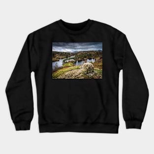 Tarn Hows Lake and Mountain View Crewneck Sweatshirt